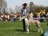 inow_2006_02